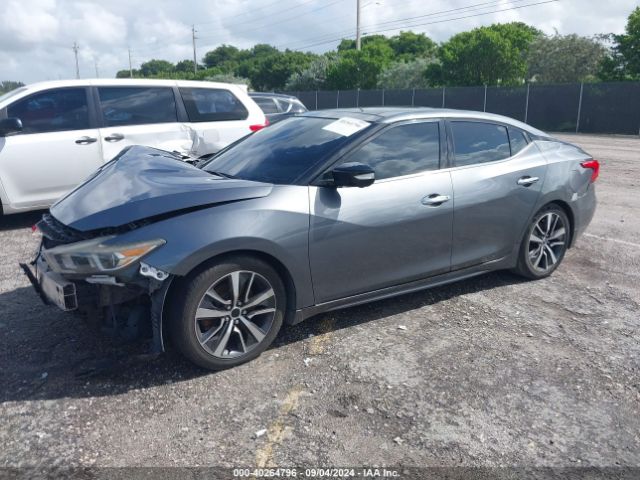 Photo 1 VIN: 1N4AA6APXHC391805 - NISSAN MAXIMA 