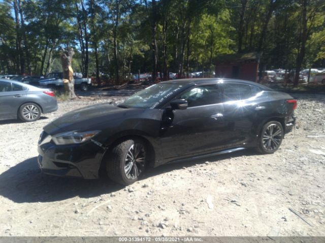 Photo 1 VIN: 1N4AA6APXHC421126 - NISSAN MAXIMA 