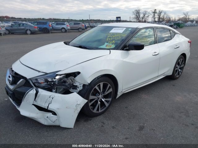 Photo 1 VIN: 1N4AA6APXHC430568 - NISSAN MAXIMA 