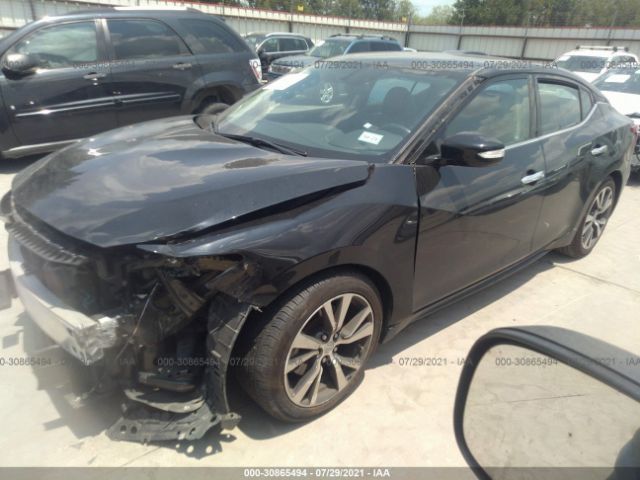 Photo 1 VIN: 1N4AA6APXHC435883 - NISSAN MAXIMA 