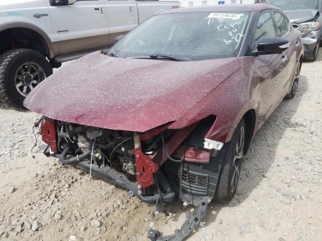 Photo 1 VIN: 1N4AA6APXHC438122 - NISSAN MAXIMA 3.5 