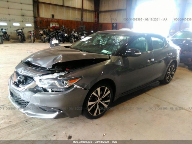 Photo 1 VIN: 1N4AA6APXHC451677 - NISSAN MAXIMA 