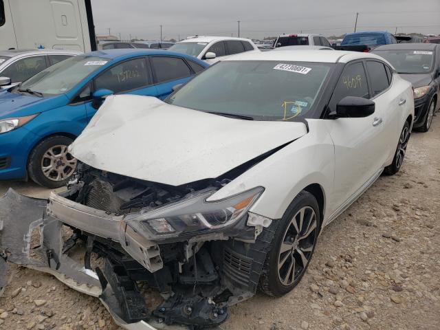 Photo 1 VIN: 1N4AA6APXJC361600 - NISSAN MAXIMA 3.5 