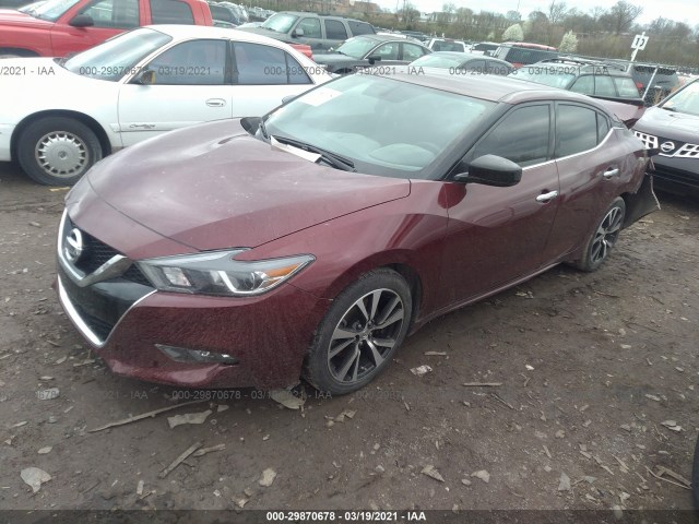 Photo 1 VIN: 1N4AA6APXJC365565 - NISSAN MAXIMA 