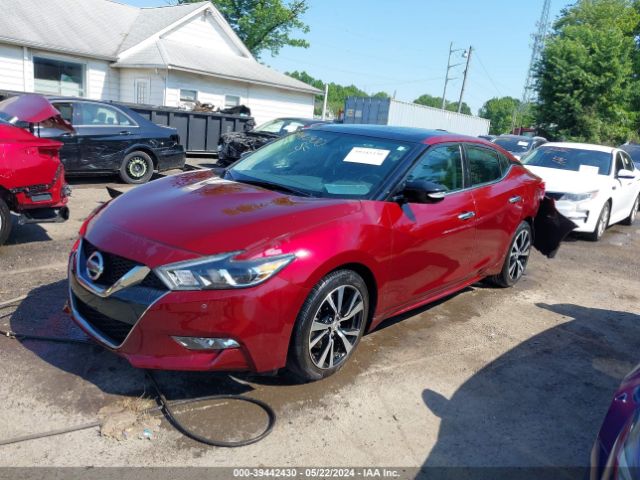 Photo 1 VIN: 1N4AA6APXJC388781 - NISSAN MAXIMA 