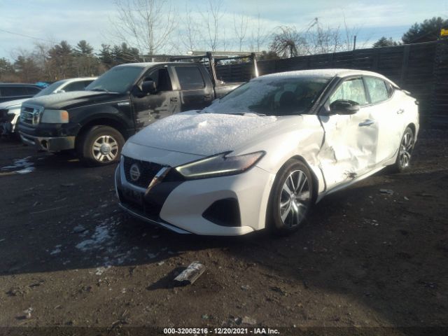 Photo 1 VIN: 1N4AA6AV2KC384241 - NISSAN MAXIMA 