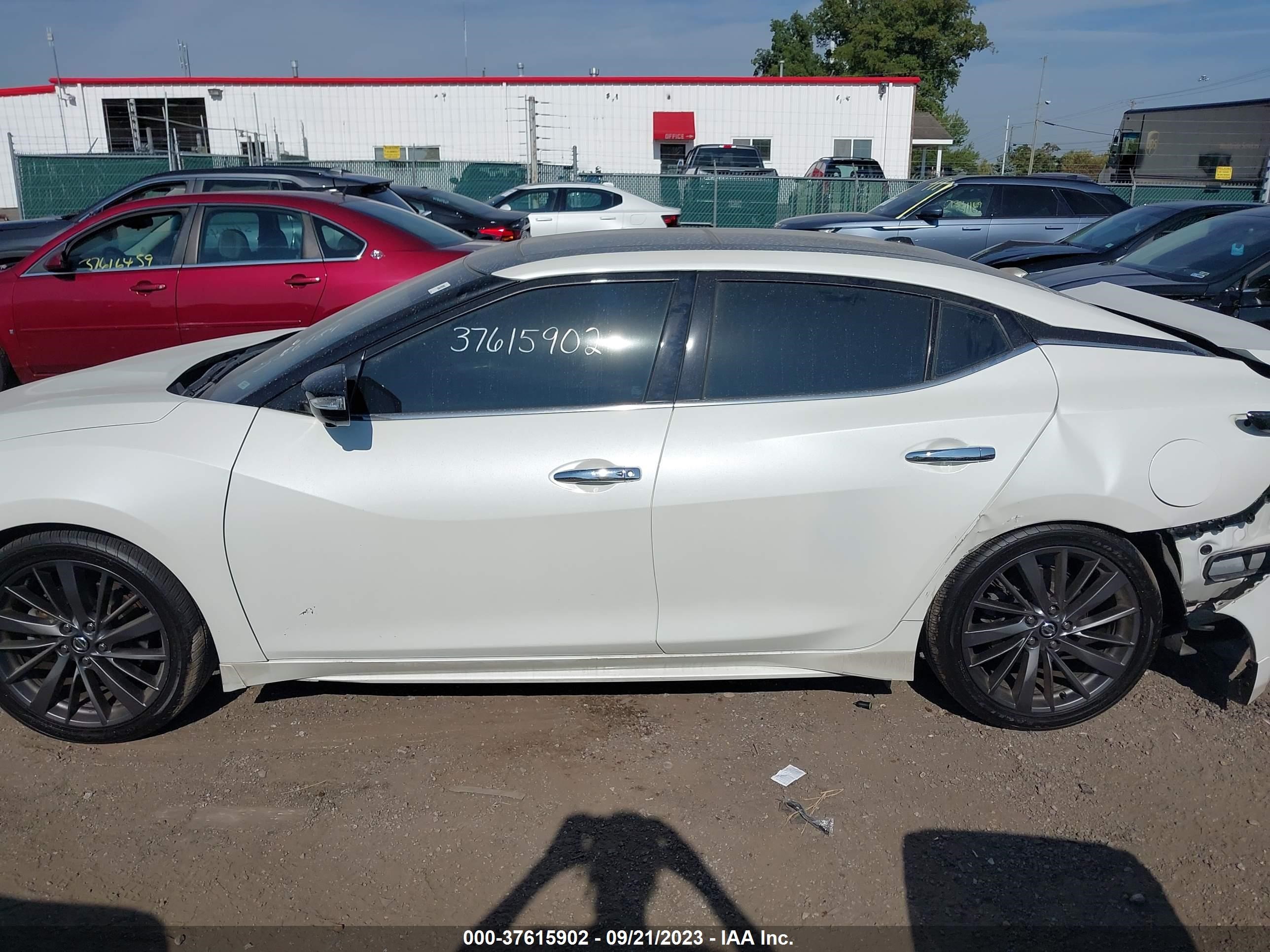 Photo 12 VIN: 1N4AA6AV3KC366184 - NISSAN MAXIMA 