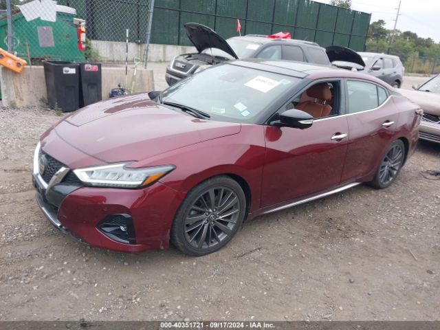 Photo 1 VIN: 1N4AA6AV6KC366289 - NISSAN MAXIMA 