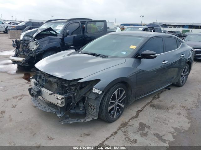 Photo 1 VIN: 1N4AA6AV7KC364504 - NISSAN MAXIMA 