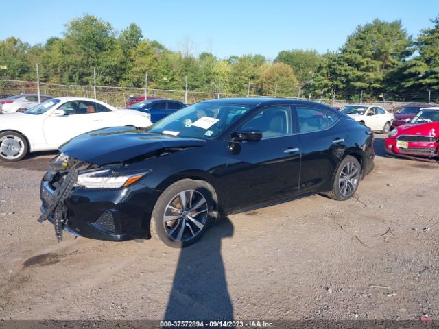 Photo 1 VIN: 1N4AA6AVXKC363654 - NISSAN MAXIMA 