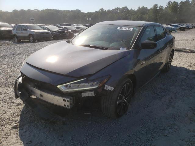 Photo 1 VIN: 1N4AA6AVXKC366246 - NISSAN MAXIMA S 