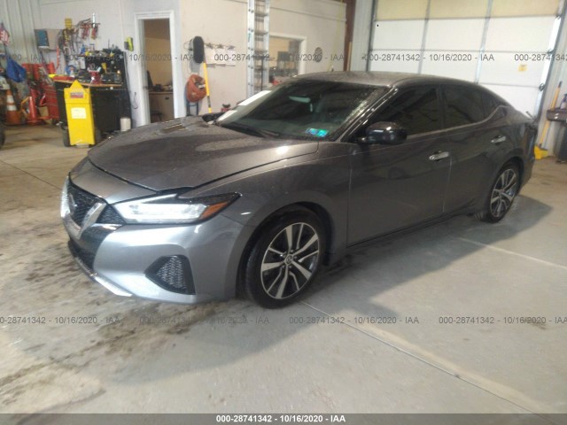 Photo 1 VIN: 1N4AA6BV1LC381301 - NISSAN MAXIMA 