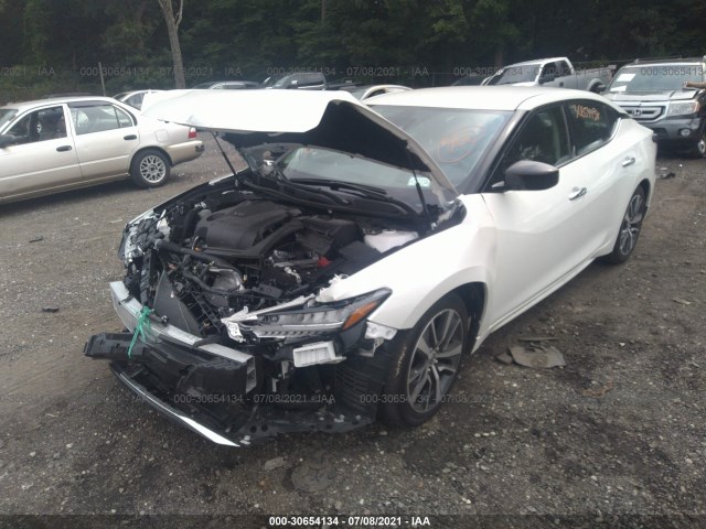 Photo 1 VIN: 1N4AA6BV3LC384118 - NISSAN MAXIMA 