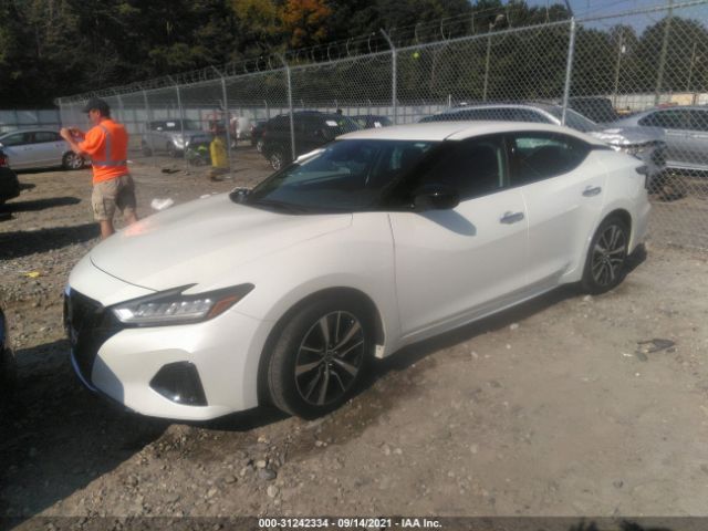 Photo 1 VIN: 1N4AA6BV3LC385916 - NISSAN MAXIMA 