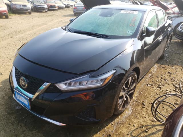 Photo 1 VIN: 1N4AA6BV4LC384693 - NISSAN MAXIMA S 