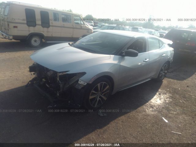 Photo 1 VIN: 1N4AA6BVXLC364111 - NISSAN MAXIMA 