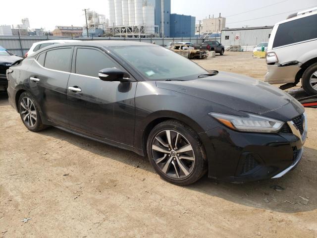 Photo 3 VIN: 1N4AA6CV0LC364262 - NISSAN MAXIMA 