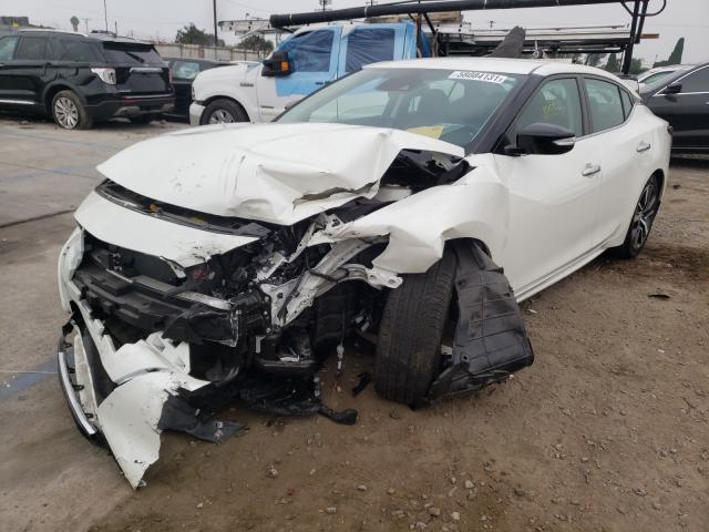 Photo 1 VIN: 1N4AA6CV0LC376296 - NISSAN MAXIMA SV 