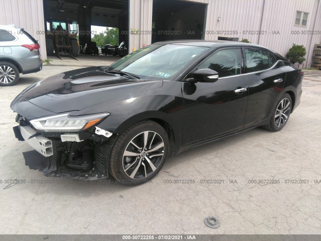 Photo 1 VIN: 1N4AA6CV0MC506482 - NISSAN MAXIMA 