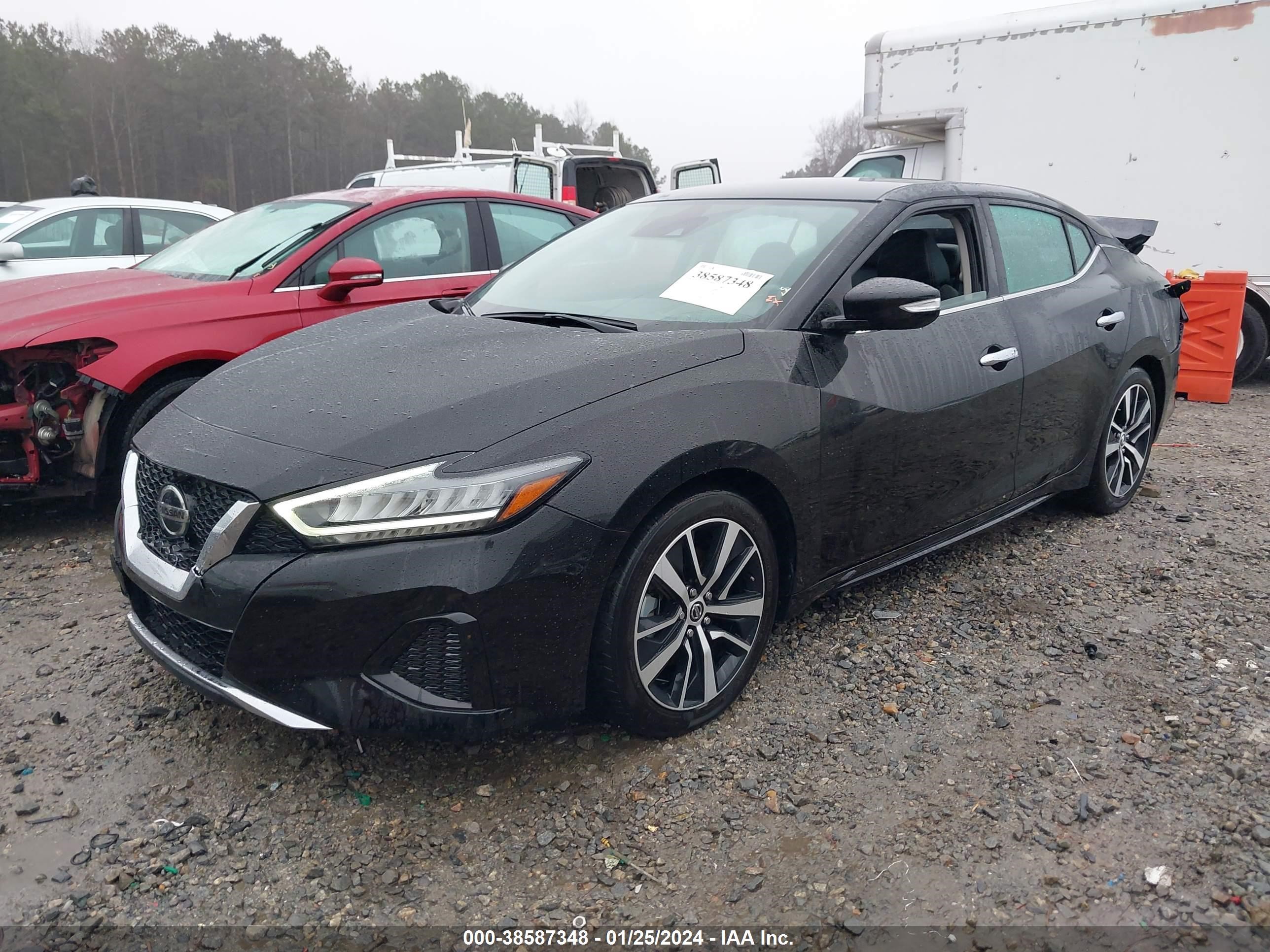 Photo 1 VIN: 1N4AA6CV0NC501445 - NISSAN MAXIMA 