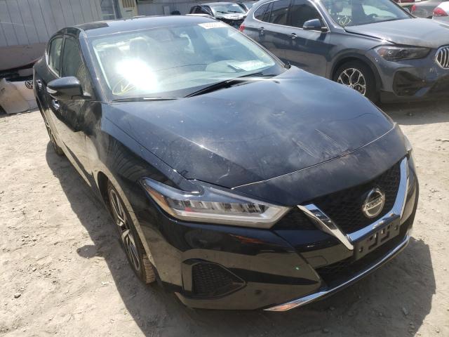 Photo 0 VIN: 1N4AA6CV1LC369602 - NISSAN MAXIMA SV 