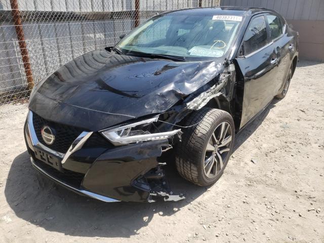 Photo 1 VIN: 1N4AA6CV1LC369602 - NISSAN MAXIMA SV 