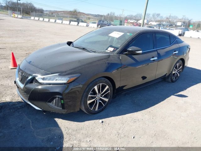 Photo 1 VIN: 1N4AA6CV1MC501257 - NISSAN MAXIMA 