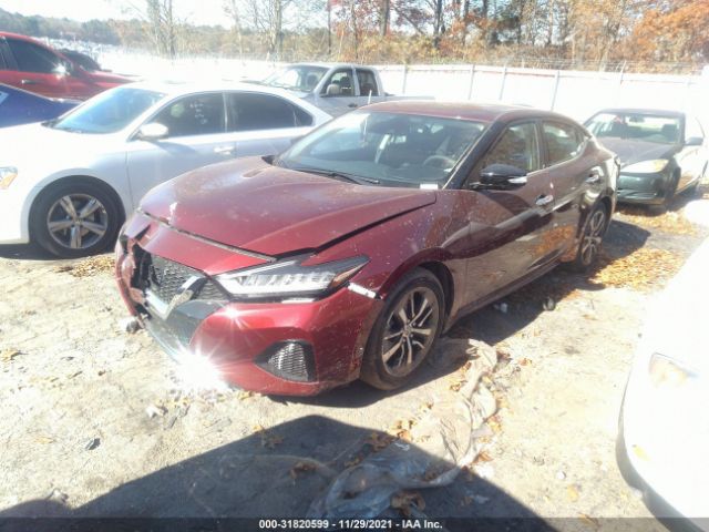 Photo 1 VIN: 1N4AA6CV1MC514946 - NISSAN MAXIMA 