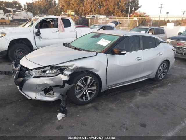 Photo 1 VIN: 1N4AA6CV2LC369365 - NISSAN MAXIMA 