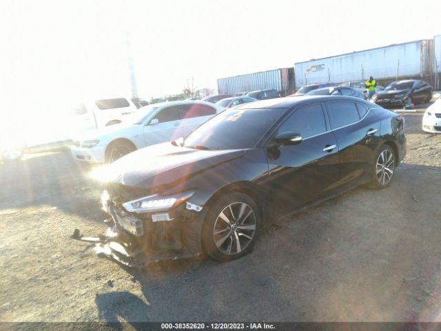 Photo 1 VIN: 1N4AA6CV2LC371858 - NISSAN MAXIMA 