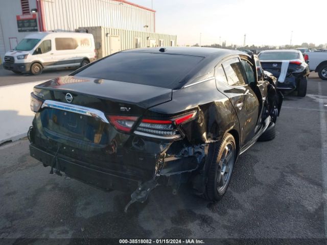 Photo 3 VIN: 1N4AA6CV2MC516754 - NISSAN MAXIMA 