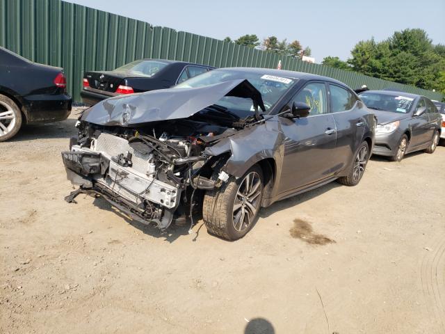 Photo 1 VIN: 1N4AA6CV3LC373991 - NISSAN MAXIMA SV 