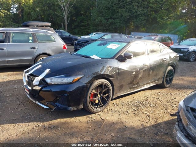 Photo 1 VIN: 1N4AA6CV3MC507660 - NISSAN MAXIMA 