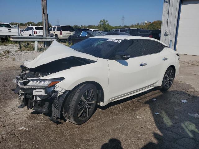 Photo 0 VIN: 1N4AA6CV3PC509185 - NISSAN MAXIMA SV 