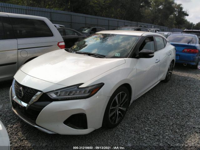 Photo 1 VIN: 1N4AA6CV4MC504721 - NISSAN MAXIMA 