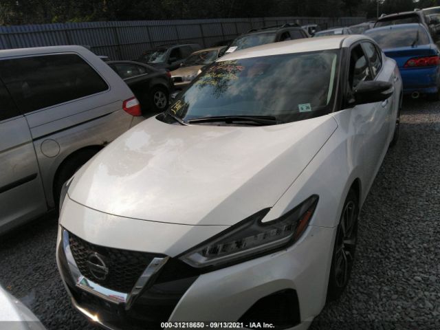 Photo 5 VIN: 1N4AA6CV4MC504721 - NISSAN MAXIMA 