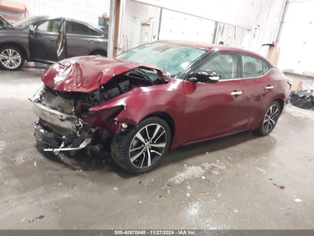 Photo 1 VIN: 1N4AA6CV4MC509871 - NISSAN MAXIMA 