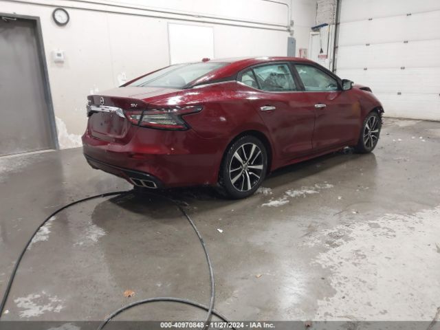 Photo 3 VIN: 1N4AA6CV4MC509871 - NISSAN MAXIMA 