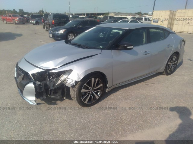 Photo 1 VIN: 1N4AA6CV5LC363592 - NISSAN MAXIMA 