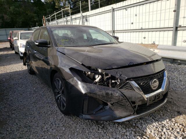 Photo 0 VIN: 1N4AA6CV5LC379226 - NISSAN MAXIMA SV 