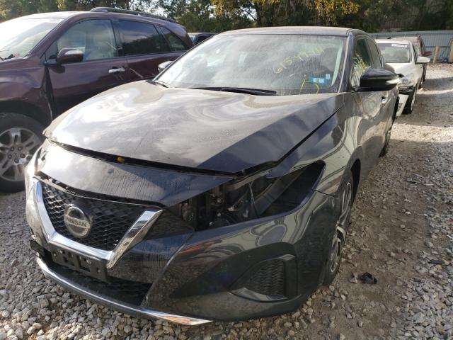 Photo 1 VIN: 1N4AA6CV5LC379226 - NISSAN MAXIMA SV 