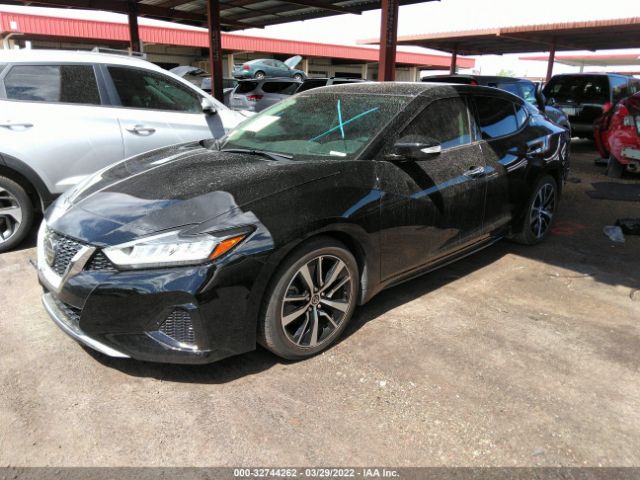 Photo 1 VIN: 1N4AA6CV5MC501276 - NISSAN MAXIMA 