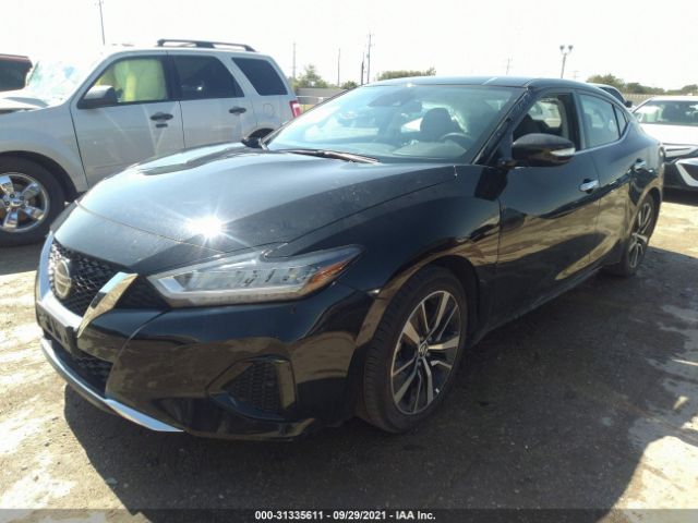 Photo 1 VIN: 1N4AA6CV5MC503738 - NISSAN MAXIMA 