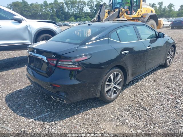 Photo 3 VIN: 1N4AA6CV7LC373198 - NISSAN MAXIMA 