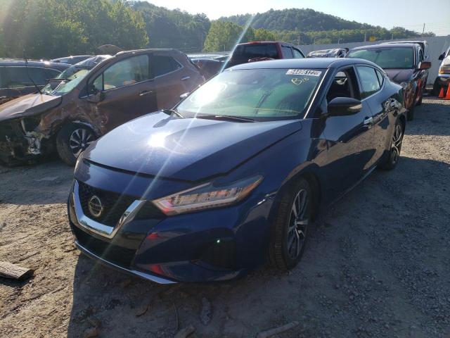 Photo 1 VIN: 1N4AA6CV7LC375369 - NISSAN MAXIMA SV 