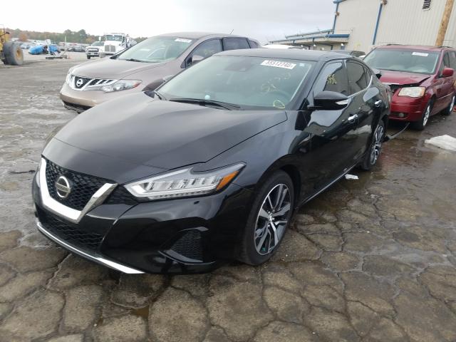 Photo 1 VIN: 1N4AA6CV7LC378773 - NISSAN MAXIMA SV 