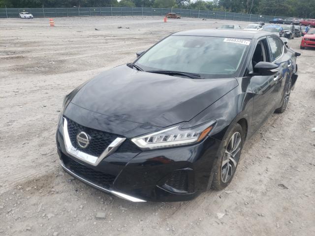 Photo 1 VIN: 1N4AA6CV7LC381916 - NISSAN MAXIMA 