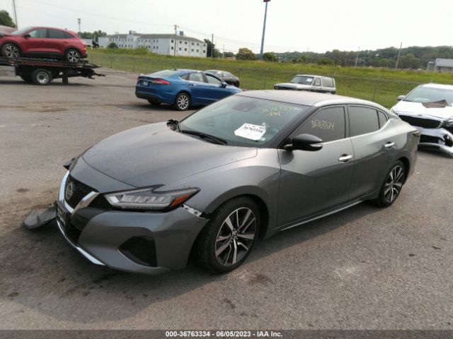 Photo 1 VIN: 1N4AA6CV9LC377723 - NISSAN MAXIMA 