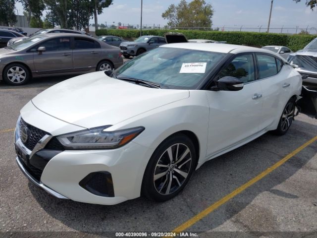 Photo 1 VIN: 1N4AA6CV9MC515956 - NISSAN MAXIMA 