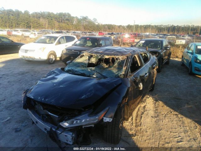 Photo 5 VIN: 1N4AA6CVXLC366083 - NISSAN MAXIMA 